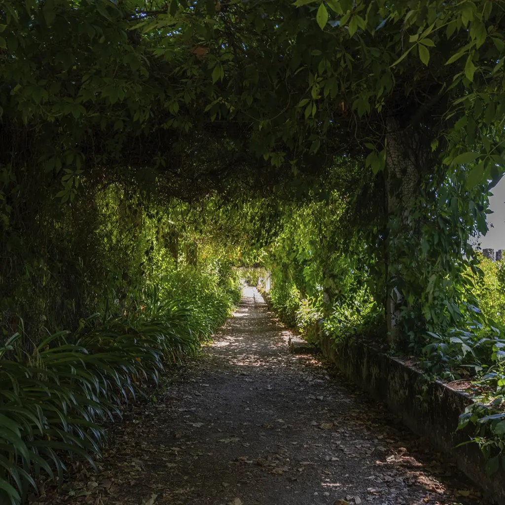 Consultoria Sustentável